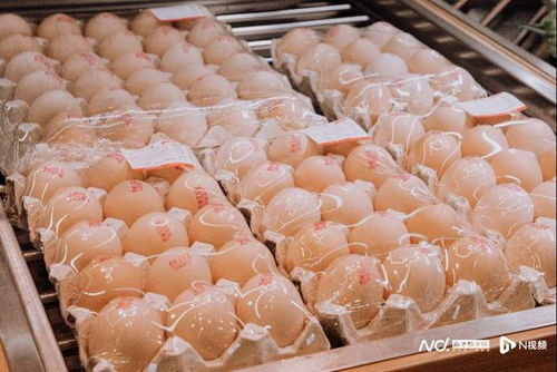 全國基地直采助力 百千萬工程 錢大媽帶動(dòng)農(nóng)產(chǎn)品出山入灣