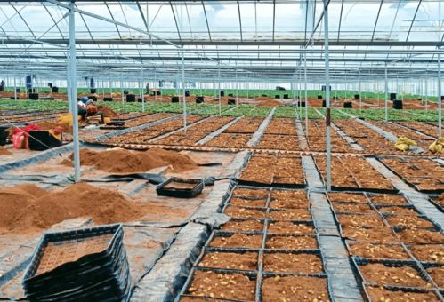 速讀市委十五屆二次全會(huì)暨全市經(jīng)濟(jì)工作會(huì)議報(bào)告