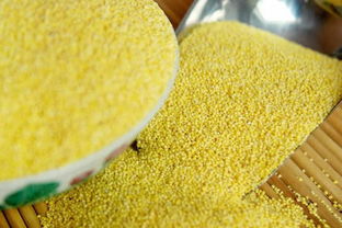 濟(jì)南十大特產(chǎn)推薦 值得購買的精選伴手禮