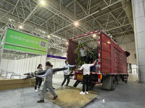 播種春天——第56屆全國(guó)工藝品交易會(huì)展前沖刺紀(jì)實(shí)