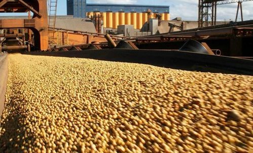 巴拉圭國內呼聲高漲 中巴建交前景下的南美外交新動向